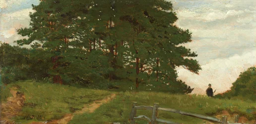 Eftermiddag - Wootton